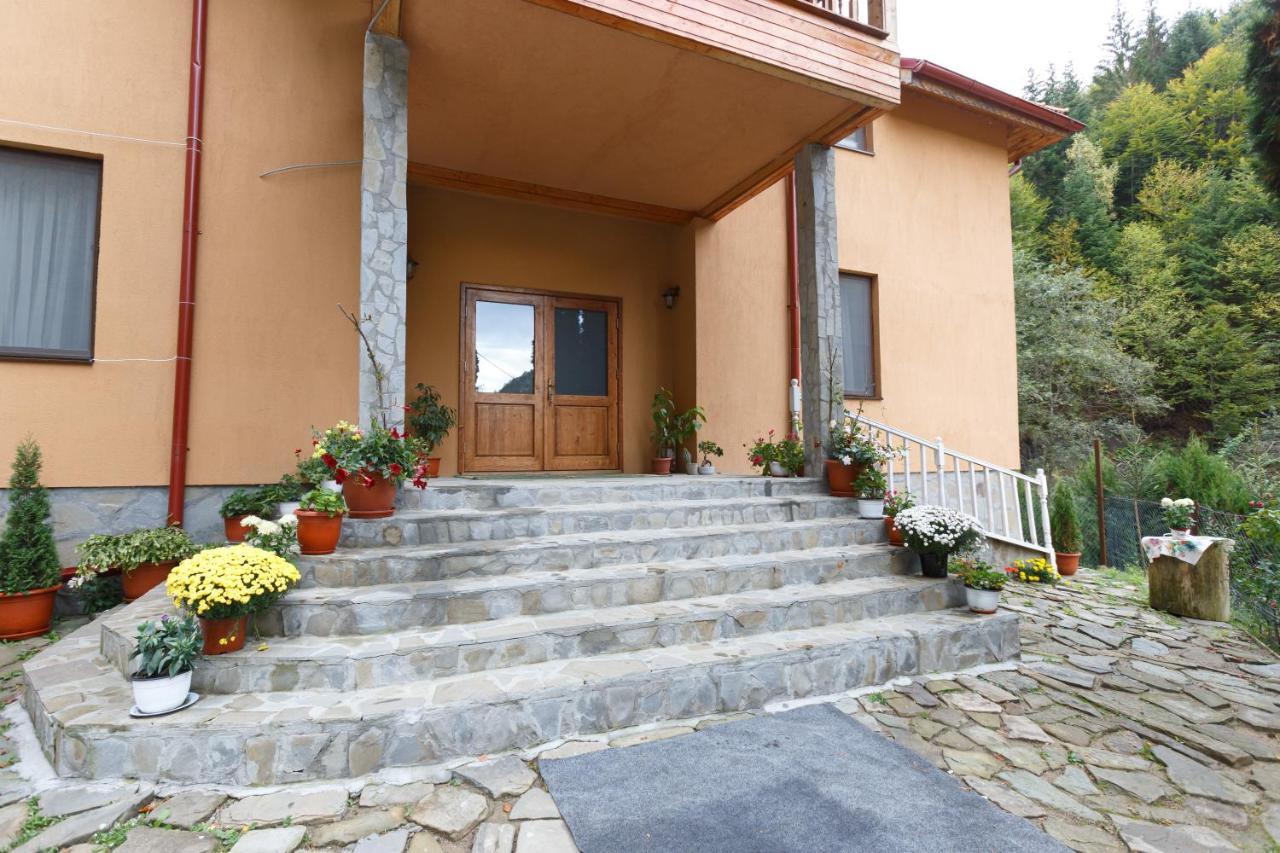 Pensiunea Casoca-Cascada Siriu Exterior foto